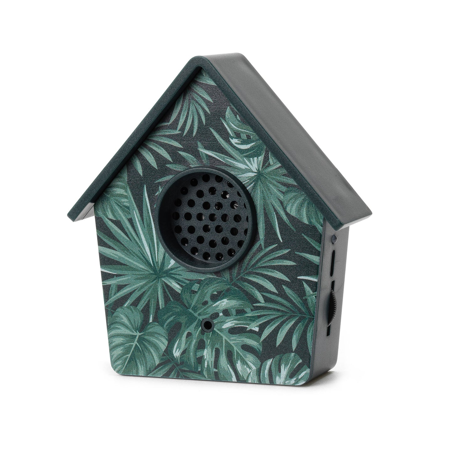 Birdsong Box - Het geluid van de natuur | jungle