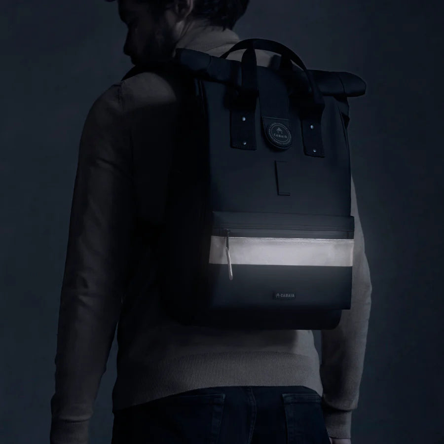 Backpack Explorer I Wellington