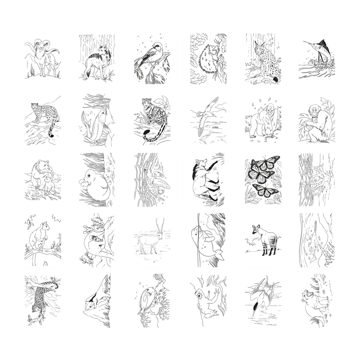 Kidydraw-pad | DIeren