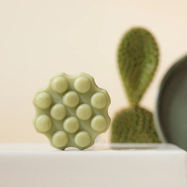 WONDR I Refreshing Cactus - Shampoo bar