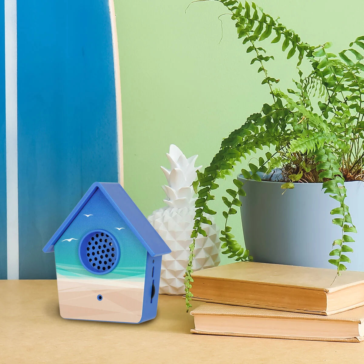 Birdsong Box - Het geluid van de natuur | zee