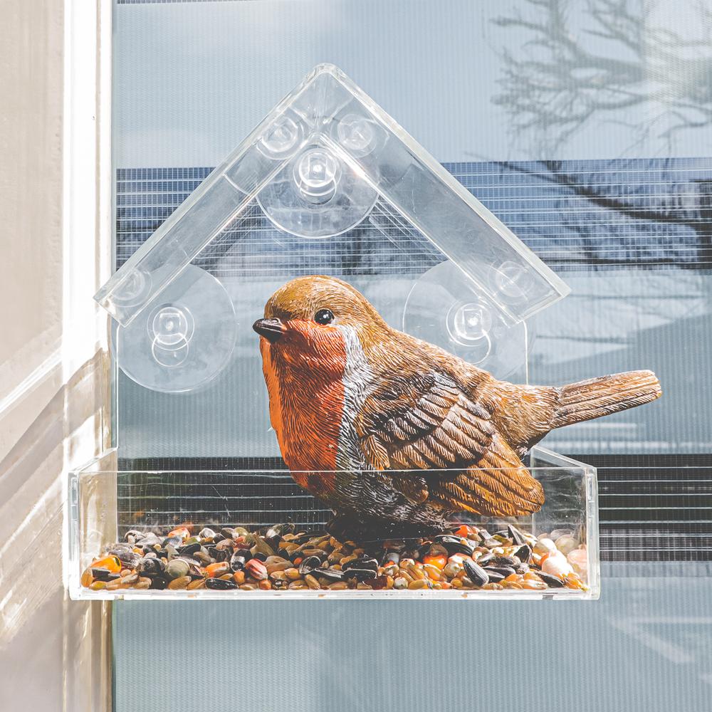 Transparant vogelvoederhuisje