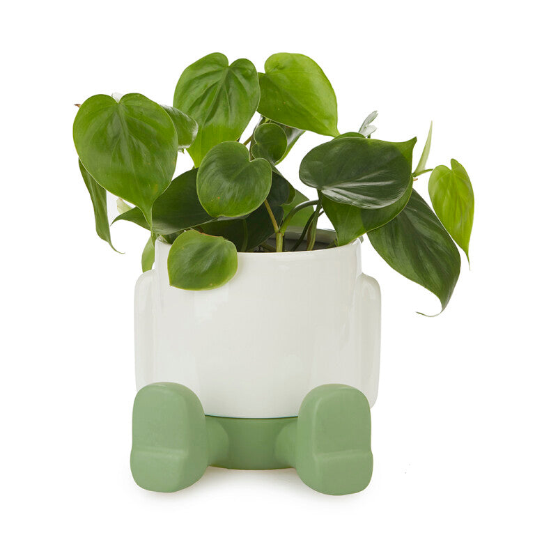 Bloempot Mr. Sitty