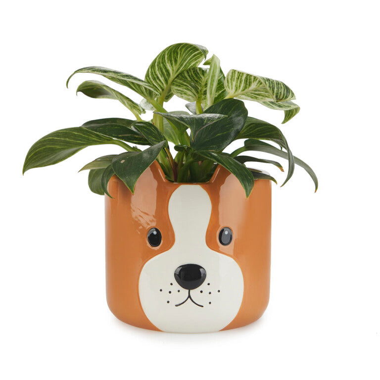 Bloempot hond