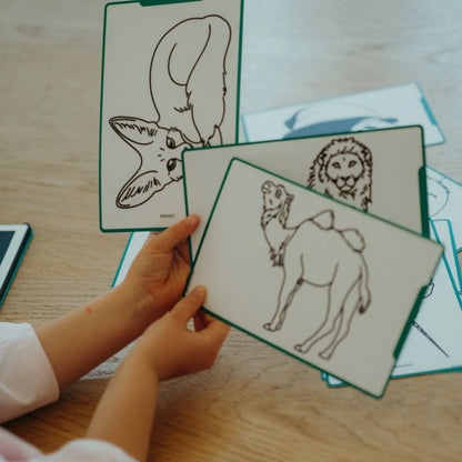 Kidydraw-mini Tekenblok | Dieren over de hele wereld