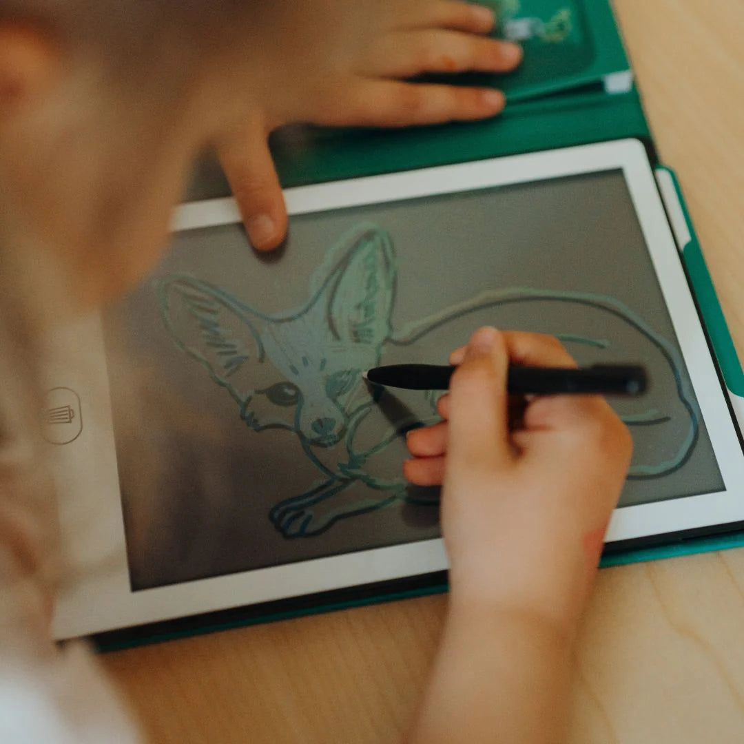 Kidydraw-mini Tekenblok | Dieren over de hele wereld