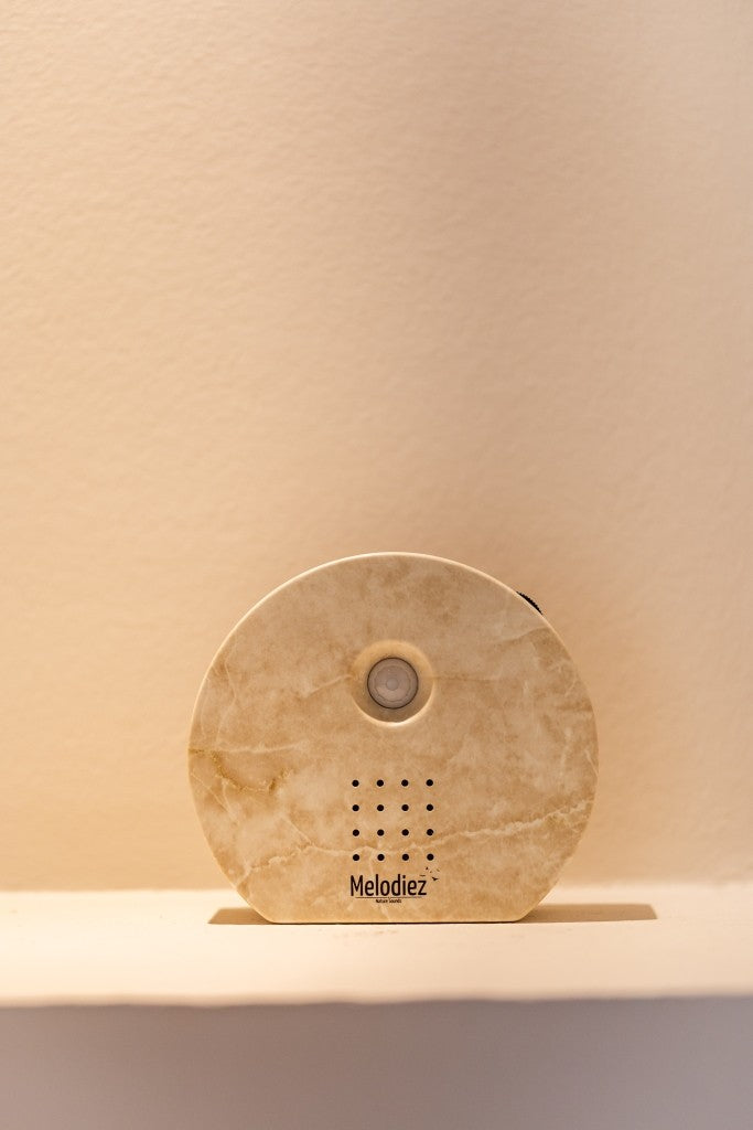 Melodiez - Natuurgeluidenbox | natuursteen