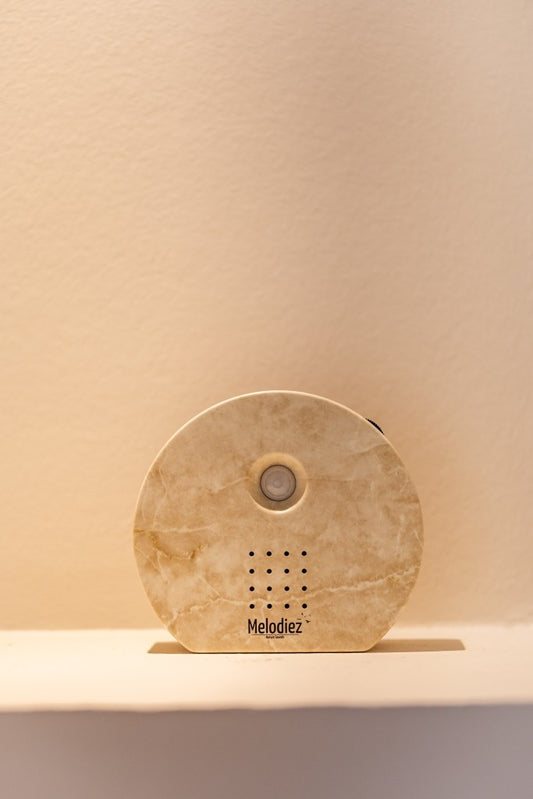 Melodiez - Natuurgeluidenbox | natuursteen