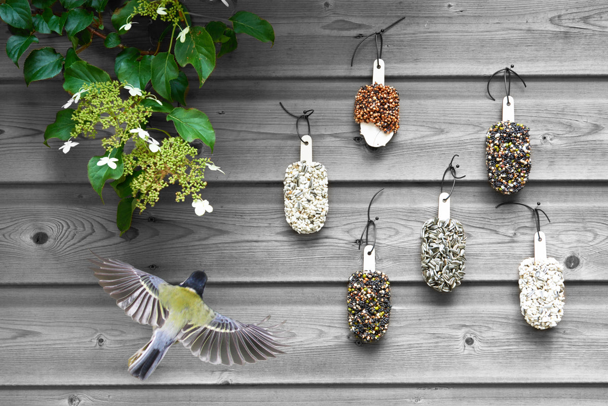 Desserts for birds | Classic Black