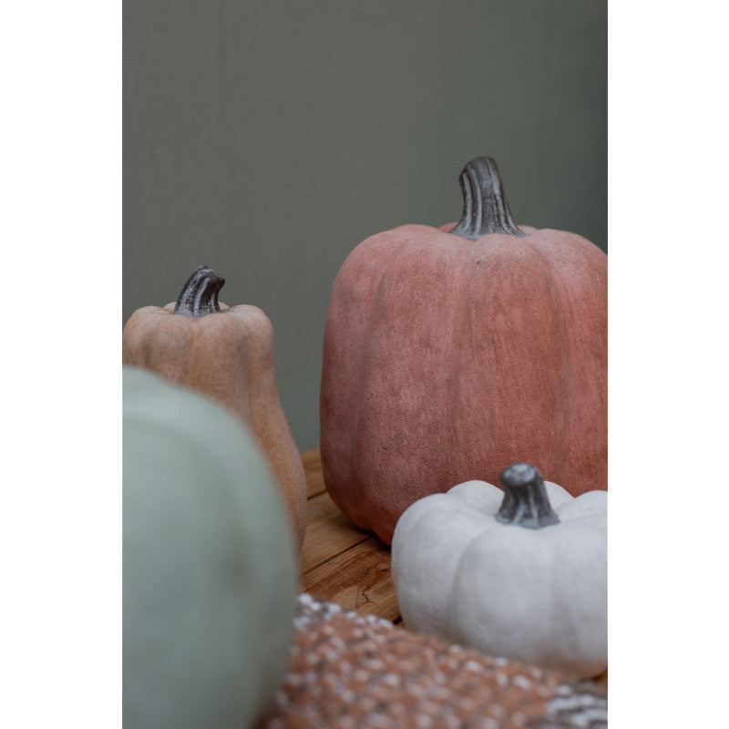 Deco pompoenen | 4 kleuren
