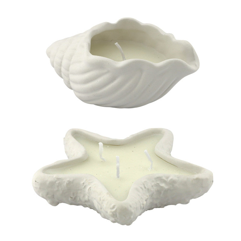 Kaars | Schelp of zeester