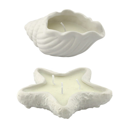 Kaars | Schelp of zeester