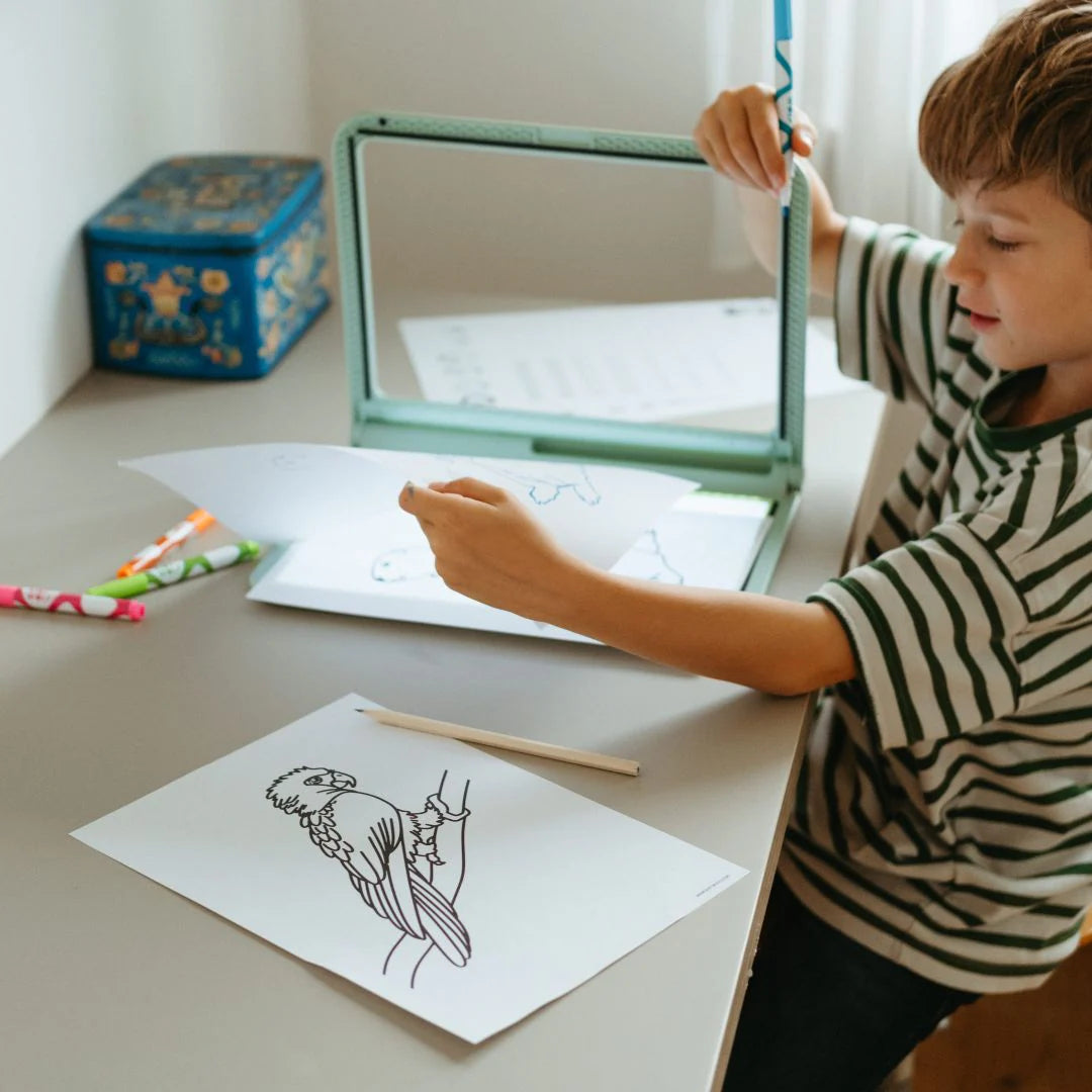 Kidydraw-PRO | Groen