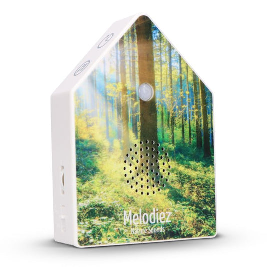 Melodiez - Natuurgeluidenbox | forest