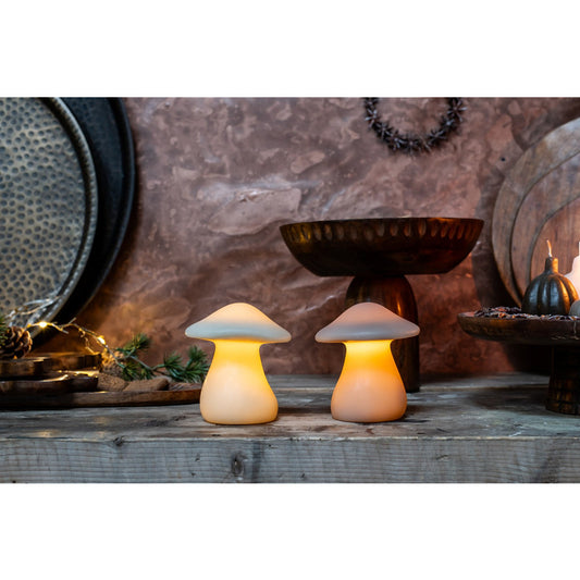 Paddenstoel ledlamp small | 2 kleuren