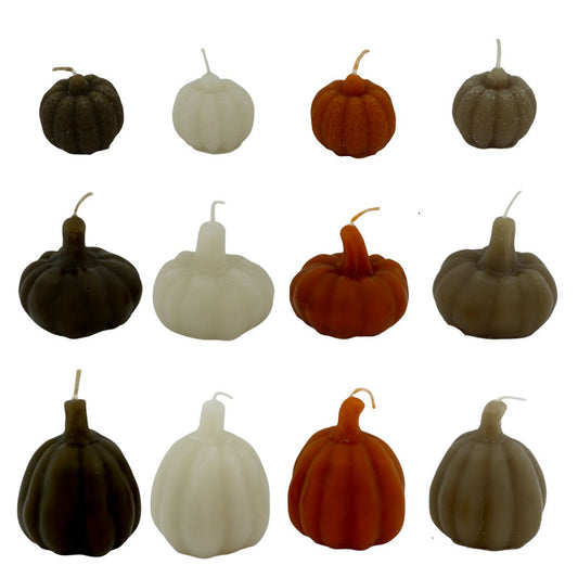 Pompoenkaarsje| 4 kleuren