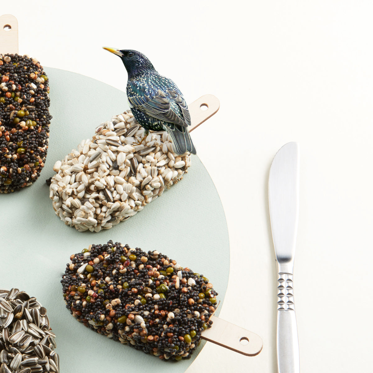 Desserts for birds | Classic Black