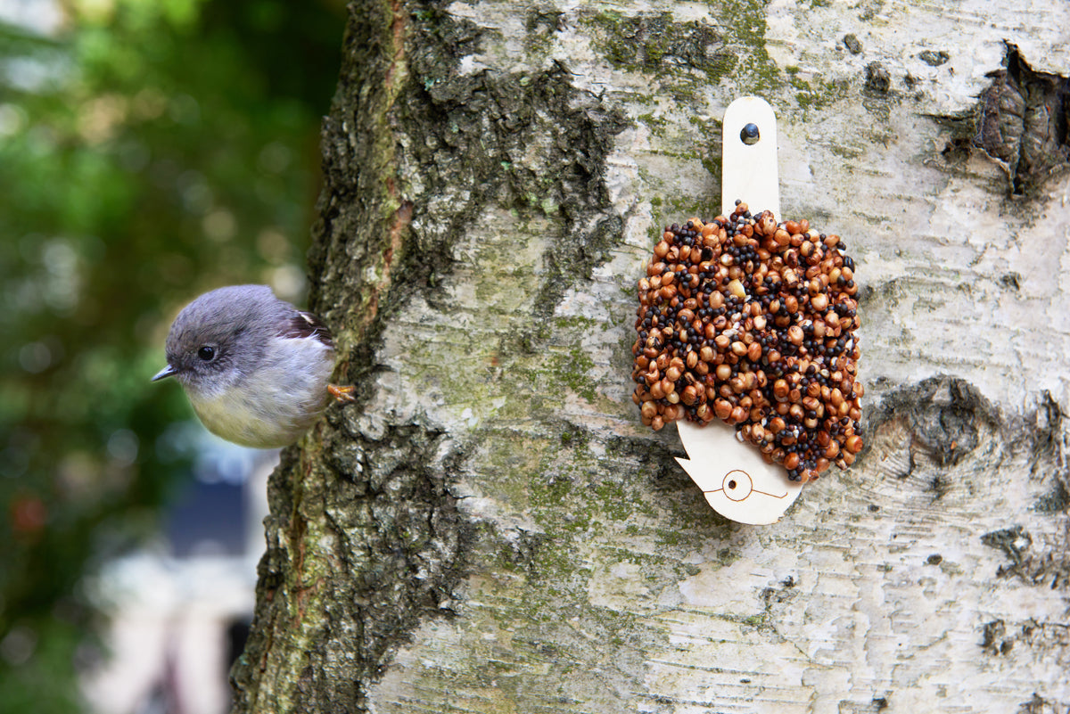 Desserts for birds | Classic Black